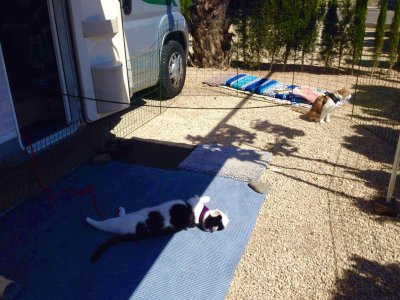 30300113-A973-4D57-B193-851AFDCE8C47.jpeg 30300113-A973-4D57-B193-851AFDCE8C47.jpeg