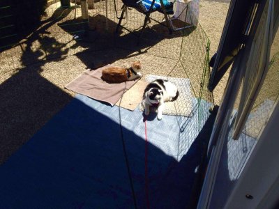 BF1AFABF-7AEE-4E90-9B66-F32E1C2546E5.jpeg BF1AFABF-7AEE-4E90-9B66-F32E1C2546E5.jpeg