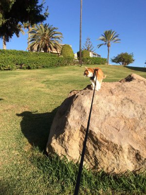 779C7DE4-BF15-436E-AC0A-7A0099935224.jpeg 779C7DE4-BF15-436E-AC0A-7A0099935224.jpeg