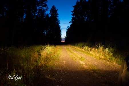 _MG_5692.jpg _MG_5692.jpg