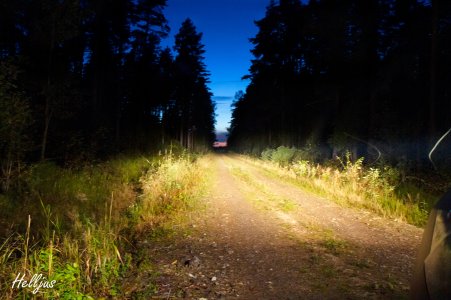 _MG_5694.jpg _MG_5694.jpg