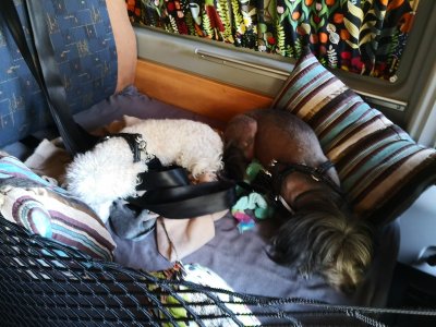 IMG_20210830_172457.jpg IMG_20210830_172457.jpg