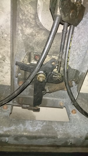 DSC_0003_23_copy_1346x2393.jpg DSC_0003_23_copy_1346x2393.jpg