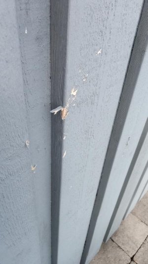 Taklucka 5.JPG Taklucka 5.JPG