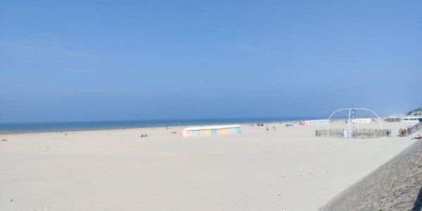 received_902577200364765.jpeg received_902577200364765.jpeg