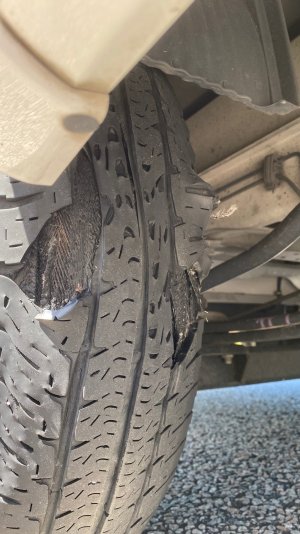 EF0780EE-69BA-4664-880E-0000BE03BDEE.jpeg EF0780EE-69BA-4664-880E-0000BE03BDEE.jpeg