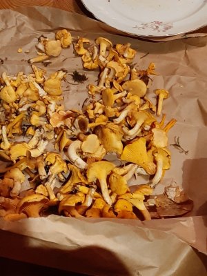 20210918_190923.jpg