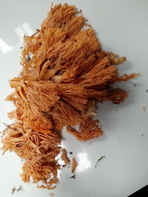 20210922_173534.jpg