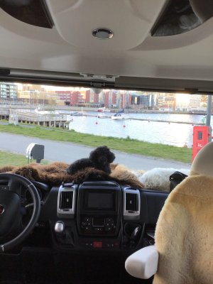 2A8BD6A9-1C81-4CFB-83D8-022B195A0593.jpeg 2A8BD6A9-1C81-4CFB-83D8-022B195A0593.jpeg