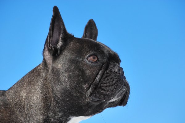 Frida..JPG