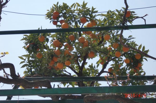 Italien april  2010 192  05.jpg