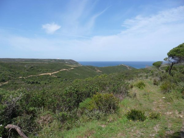 1 Vy över Atlanten.jpg