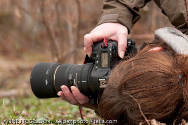 20100417.442.jpg 20100417.442.jpg