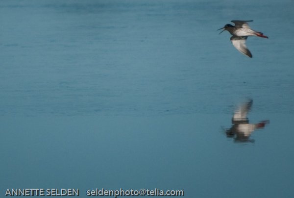 20100422.640.jpg 20100422.640.jpg