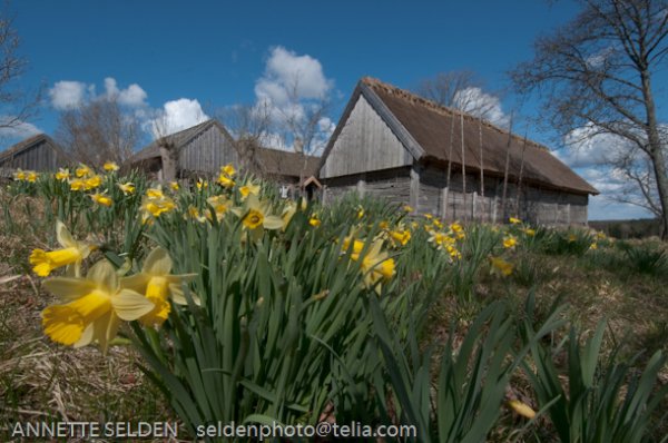 20100422.675.jpg 20100422.675.jpg