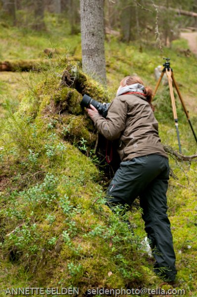 20100417.462.jpg 20100417.462.jpg