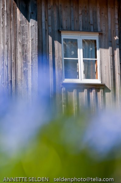 20100422.719.jpg 20100422.719.jpg