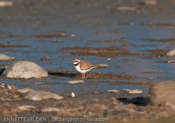 20100422.754.jpg 20100422.754.jpg