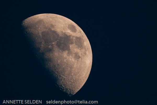 20100422.763.jpg 20100422.763.jpg