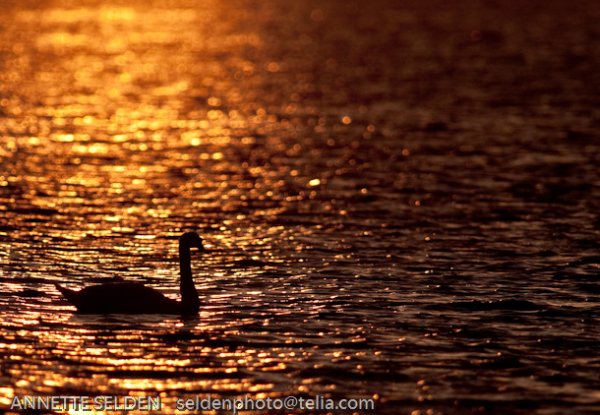 20100422.802.jpg 20100422.802.jpg