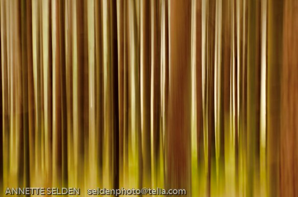 20100423.839.jpg 20100423.839.jpg