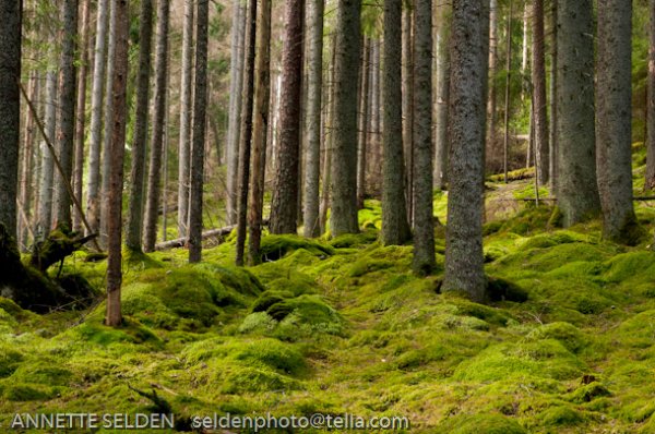 20100423.867.jpg 20100423.867.jpg