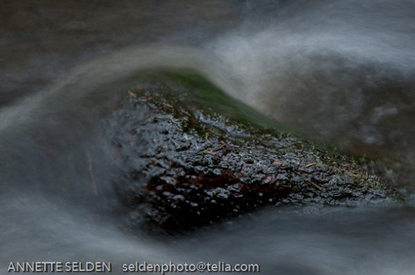 20100423.906.jpg 20100423.906.jpg