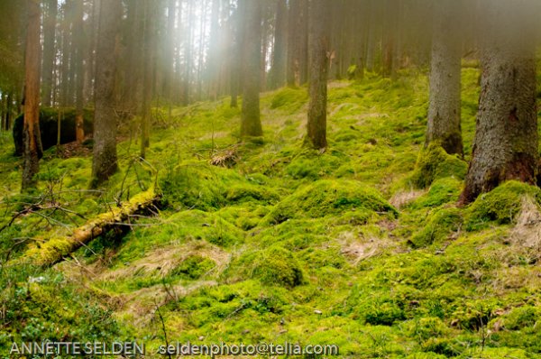 20100423.943.jpg 20100423.943.jpg