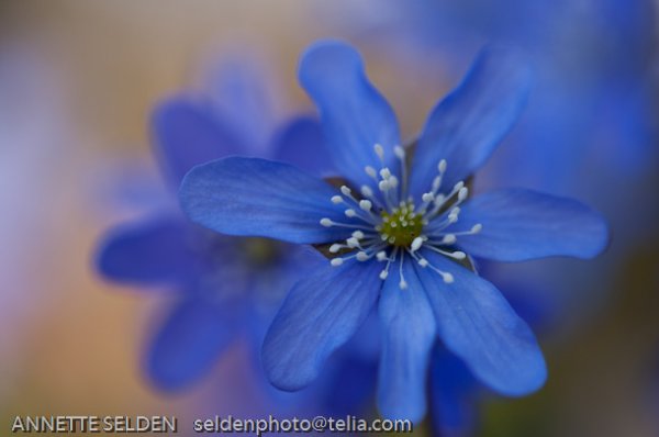 20100423.1005.jpg 20100423.1005.jpg