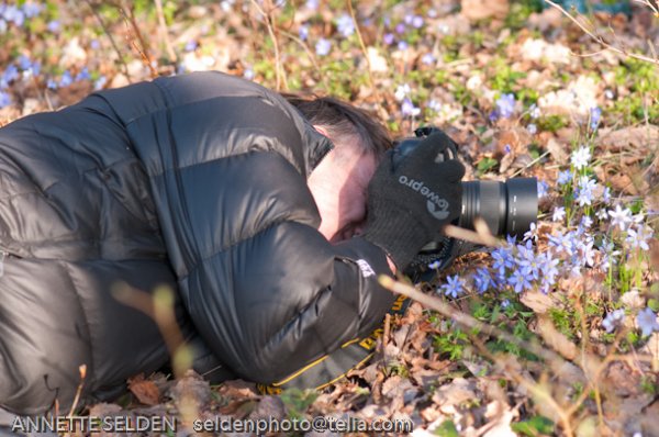 20100423.1014.jpg 20100423.1014.jpg