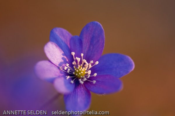 20100424.1164-Edit.jpg 20100424.1164-Edit.jpg