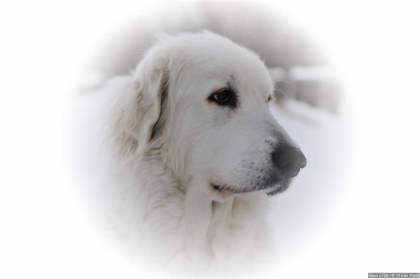 DSC_1568-e.jpg DSC_1568-e.jpg