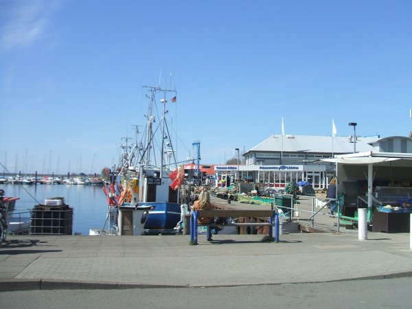 Spanienresa januari 2010 225.JPG