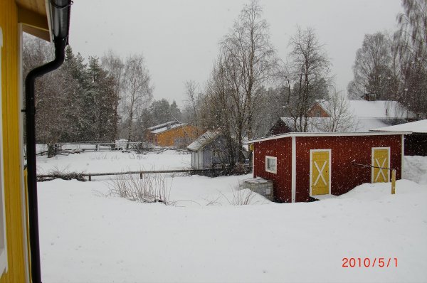 Murjek 30 april  2010 010.jpg