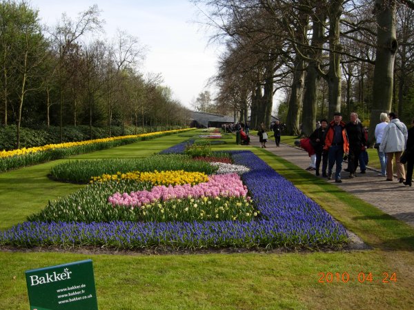 Holland  2010 001.JPG