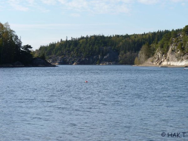 P1010624.JPG