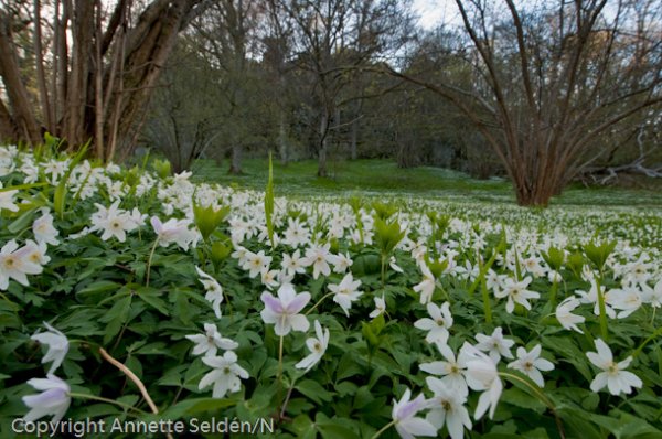 20100510.022.jpg 20100510.022.jpg