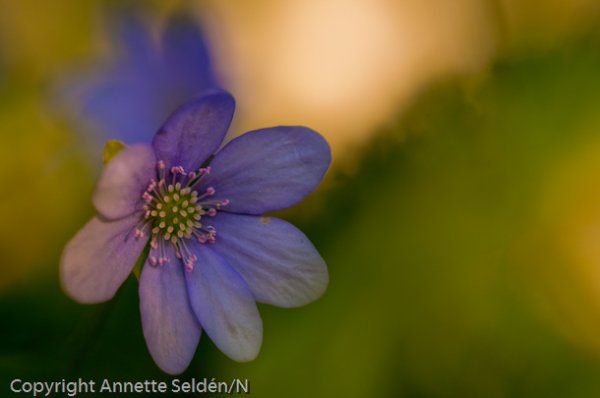 20100510.092.jpg 20100510.092.jpg