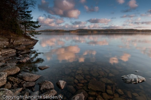 20100511.170.jpg 20100511.170.jpg