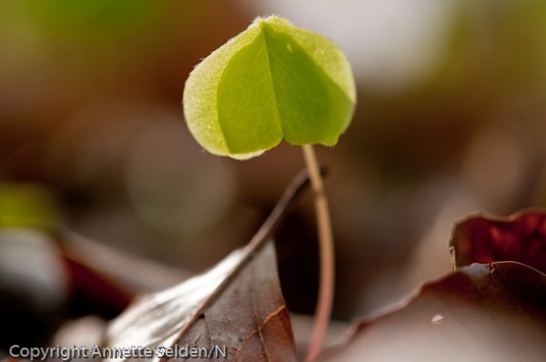 20100511.300.jpg 20100511.300.jpg