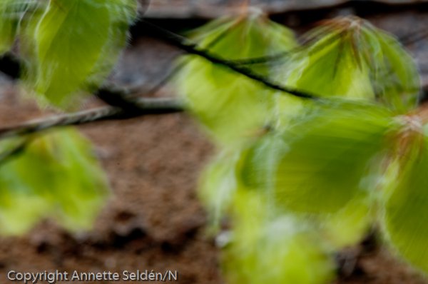 20100511.356.jpg 20100511.356.jpg