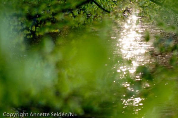 20100511.363.jpg 20100511.363.jpg