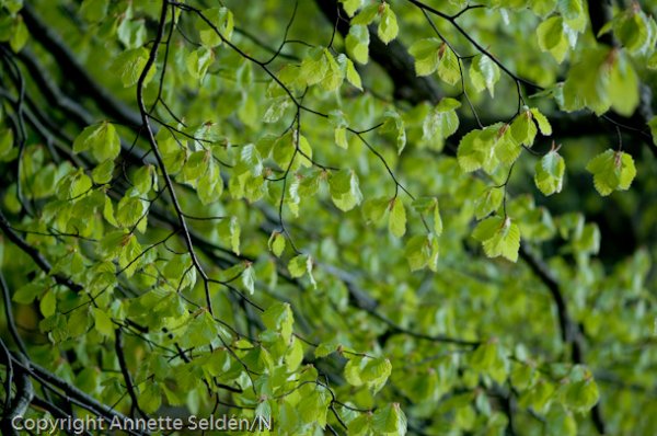 20100511.367.jpg 20100511.367.jpg