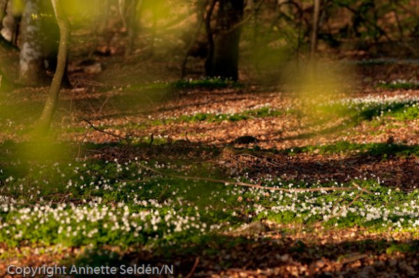 20100511.404.jpg 20100511.404.jpg