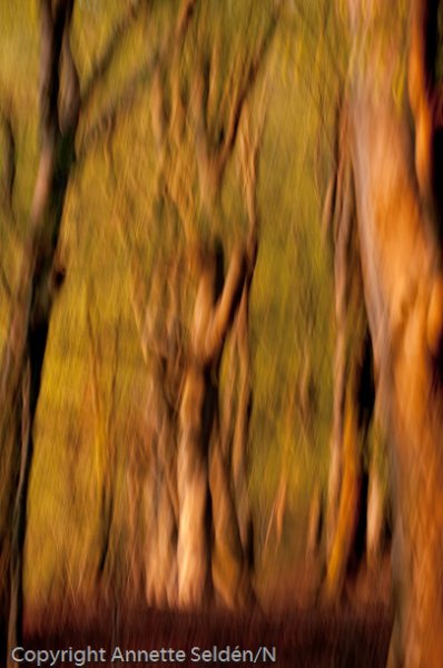 20100511.464.jpg 20100511.464.jpg