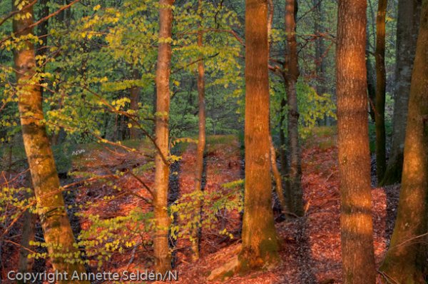 20100511.472.jpg 20100511.472.jpg