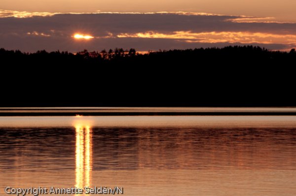 20100511.484.jpg 20100511.484.jpg