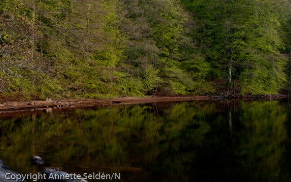 20100511.501.jpg 20100511.501.jpg