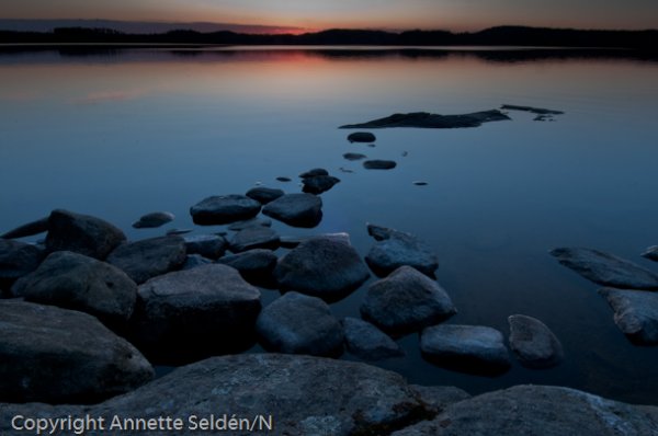 20100511.509.jpg 20100511.509.jpg