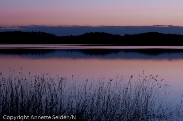 20100511.517.jpg 20100511.517.jpg